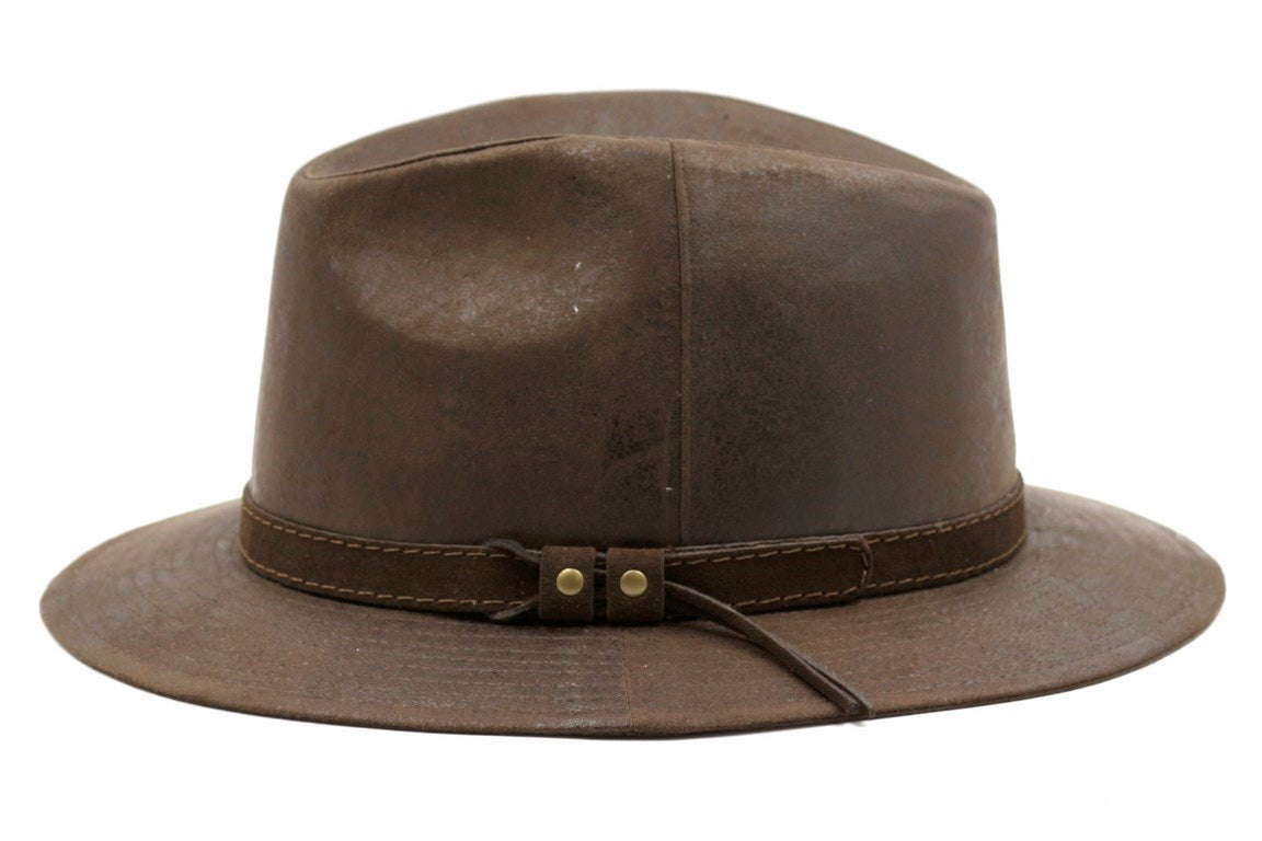 CAPPELLO TESS  COW